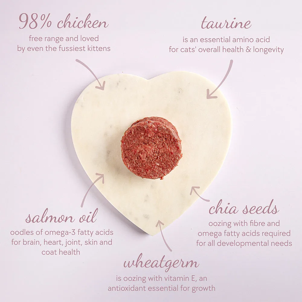 Kitten Starter Box, Patties (48 x 100g)